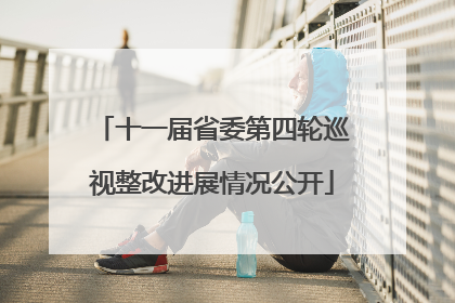 十一届省委第四轮巡视整改进展情况公开