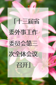 十三届省委外事工作委员会第三次全体会议召开