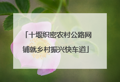 十堰织密农村公路网 铺就乡村振兴快车道