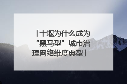 十堰为什么成为“黑马型”城市治理网络维度典型