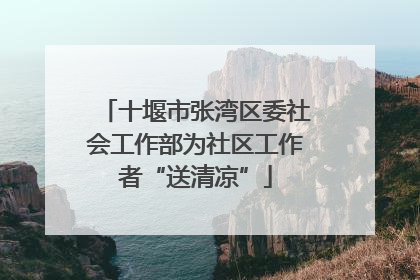 十堰市张湾区委社会工作部为社区工作者“送清凉”