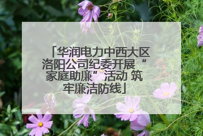 华润电力中西大区洛阳公司纪委开展“家庭助廉”活动 筑牢廉洁防线