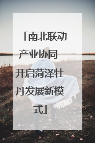 南北联动产业协同 开启菏泽牡丹发展新模式
