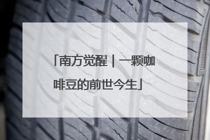 南方觉醒｜一颗咖啡豆的前世今生