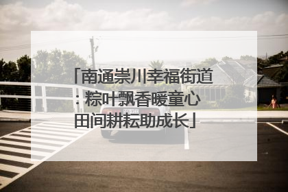 南通崇川幸福街道：粽叶飘香暖童心 田间耕耘助成长