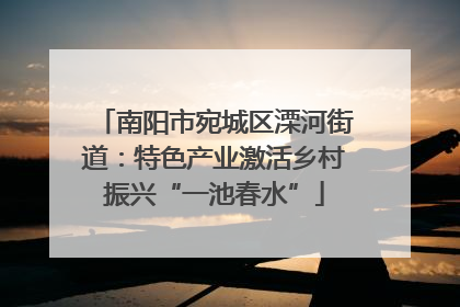 南阳市宛城区溧河街道：特色产业激活乡村振兴“一池春水”