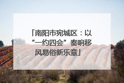 南阳市宛城区：以“一约四会”奏响移风易俗新乐章