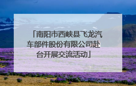 南阳市西峡县飞龙汽车部件股份有限公司赴台开展交流活动