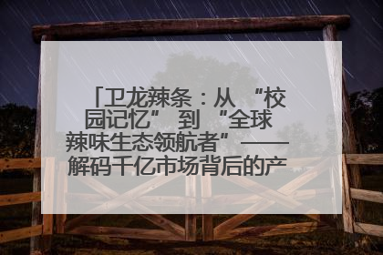卫龙辣条：从 “校园记忆” 到 “全球辣味生态领航者”——解码千亿市场背后的产品创新与全链路破圈