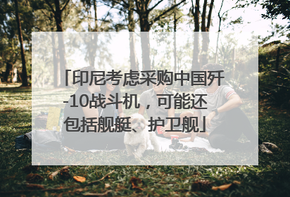 印尼考虑采购中国歼-10战斗机，可能还包括舰艇、护卫舰