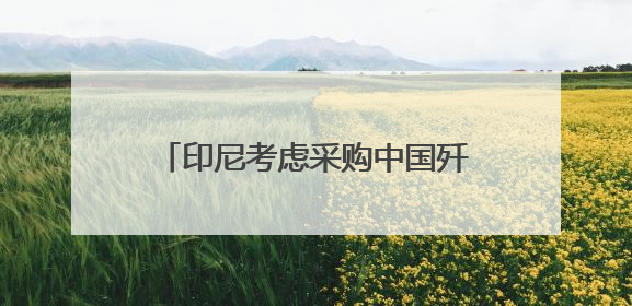 印尼考虑采购中国歼-10战斗机 正评估性能与成本优势