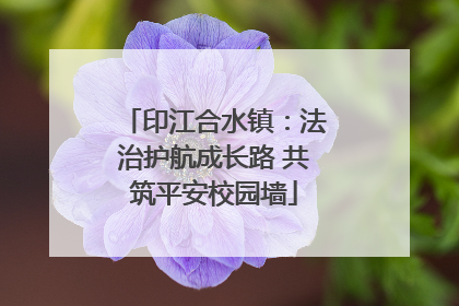 印江合水镇：法治护航成长路 共筑平安校园墙