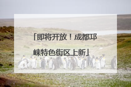 即将开放！成都邛崃特色街区上新