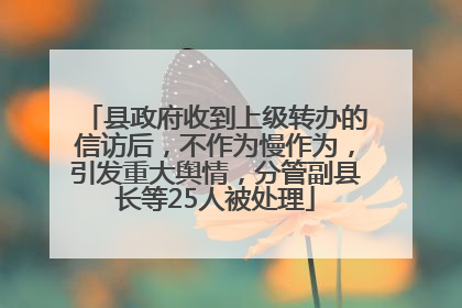 县政府收到上级转办的信访后，不作为慢作为，引发重大舆情，分管副县长等25人被处理