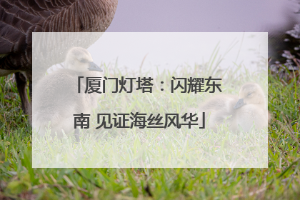 厦门灯塔：闪耀东南 见证海丝风华