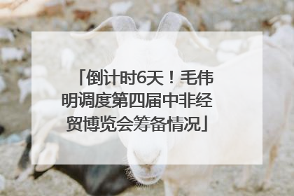 倒计时6天！毛伟明调度第四届中非经贸博览会筹备情况