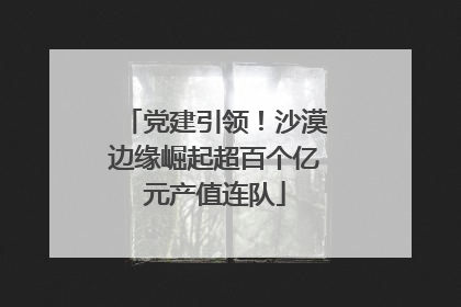 党建引领！沙漠边缘崛起超百个亿元产值连队