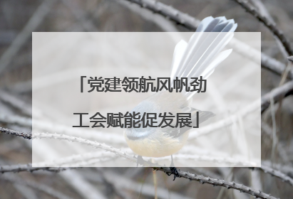 党建领航风帆劲 工会赋能促发展