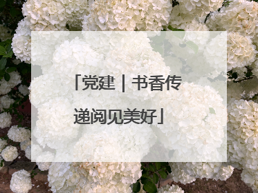 党建｜书香传递阅见美好