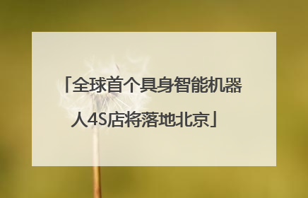 全球首个具身智能机器人4S店将落地北京