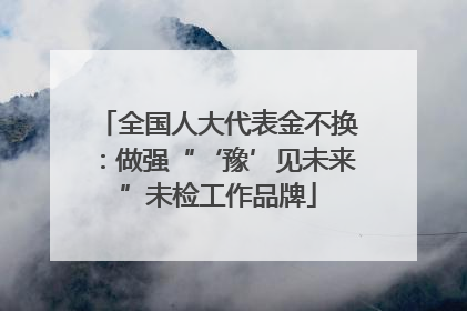 全国人大代表金不换：做强“‘豫’见未来”未检工作品牌