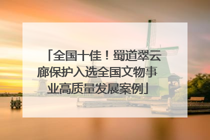 全国十佳！蜀道翠云廊保护入选全国文物事业高质量发展案例
