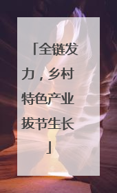 全链发力，乡村特色产业拔节生长