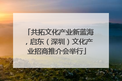 共拓文化产业新蓝海，启东（深圳）文化产业招商推介会举行