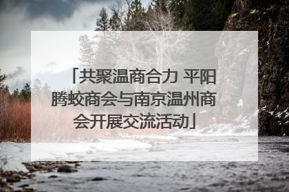 共聚温商合力 平阳腾蛟商会与南京温州商会开展交流活动