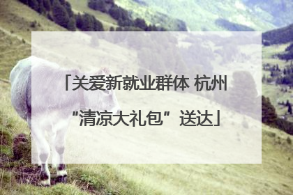 关爱新就业群体 杭州“清凉大礼包”送达