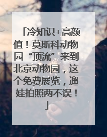 冷知识+高颜值！莫斯科动物园“顶流”来到北京动物园，这个免费展览，遛娃拍照两不误！