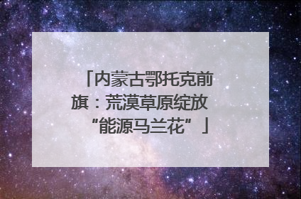 内蒙古鄂托克前旗：荒漠草原绽放“能源马兰花”