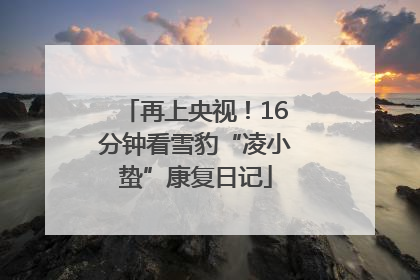 再上央视！16分钟看雪豹“凌小蛰”康复日记