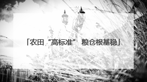农田“高标准” 粮仓根基稳