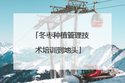 冬枣种植管理技术培训到地头