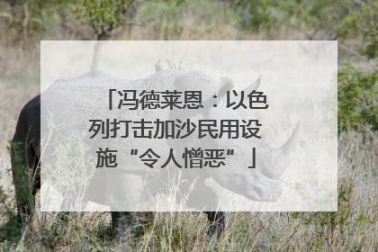 冯德莱恩：以色列打击加沙民用设施“令人憎恶”