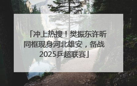 冲上热搜！樊振东许昕同框现身河北雄安，备战2025乒超联赛