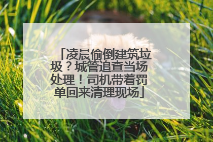 凌晨偷倒建筑垃圾？城管追查当场处理！司机带着罚单回来清理现场