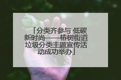 分类齐参与 低碳新时尚——椿树街道垃圾分类主题宣传活动成功举办