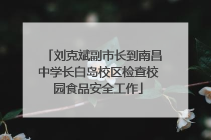 刘克斌副市长到南昌中学长白岛校区检查校园食品安全工作