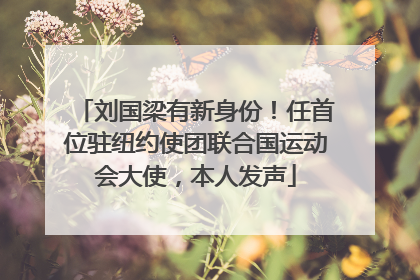 刘国梁有新身份！任首位驻纽约使团联合国运动会大使，本人发声