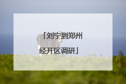 刘宁到郑州经开区调研