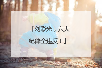 刘彩光，六大纪律全违反！