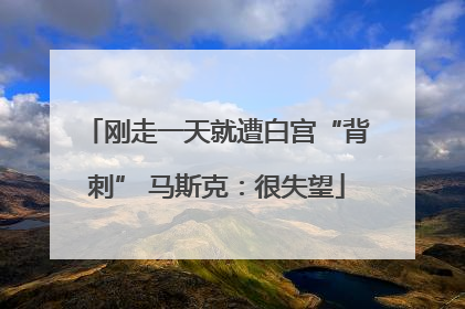 刚走一天就遭白宫“背刺” 马斯克：很失望