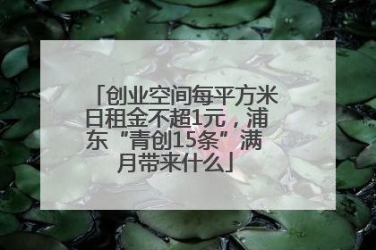 创业空间每平方米日租金不超1元，浦东“青创15条”满月带来什么