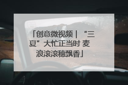 创意微视频｜“三夏”大忙正当时 麦浪滚滚穗飘香