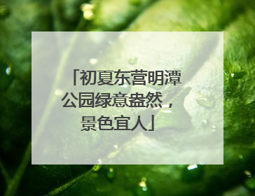 初夏东营明潭公园绿意盎然，景色宜人