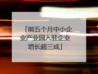 前五个月中小企业产业园入驻企业增长超三成
