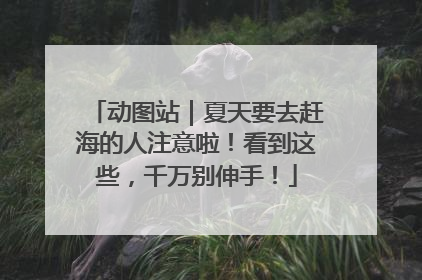 动图站｜夏天要去赶海的人注意啦！看到这些，千万别伸手！