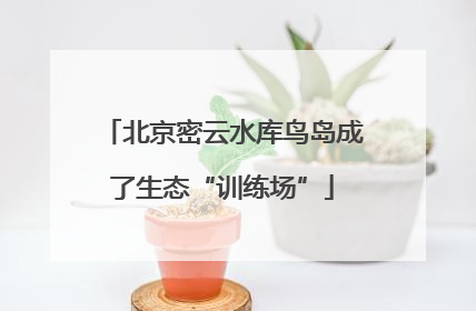 北京密云水库鸟岛成了生态“训练场”